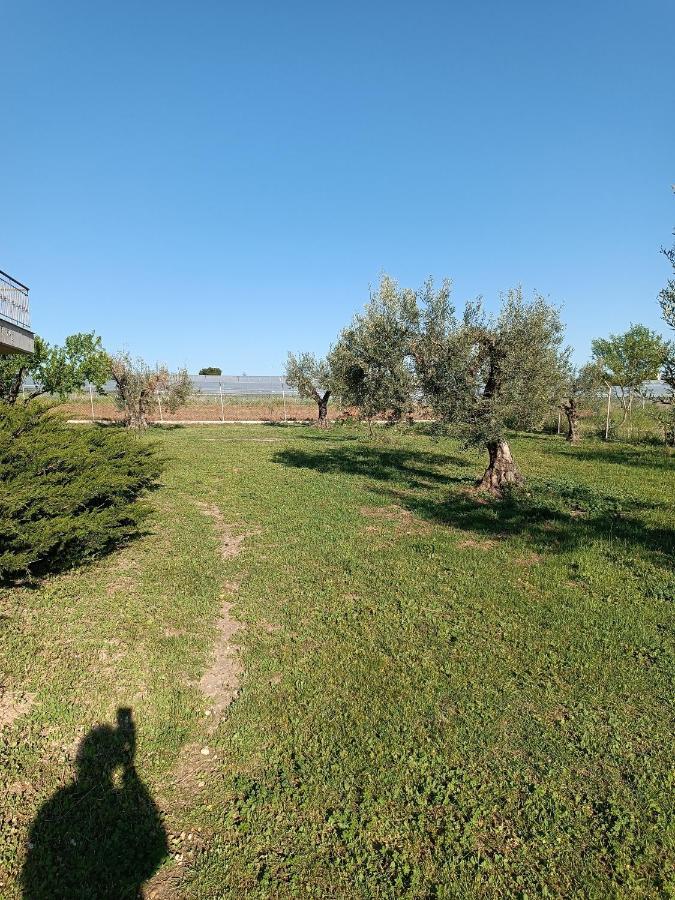 The Secret Olive House Villa Nea Michaniona Buitenkant foto