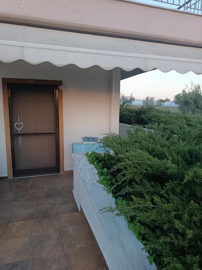 The Secret Olive House Villa Nea Michaniona Buitenkant foto