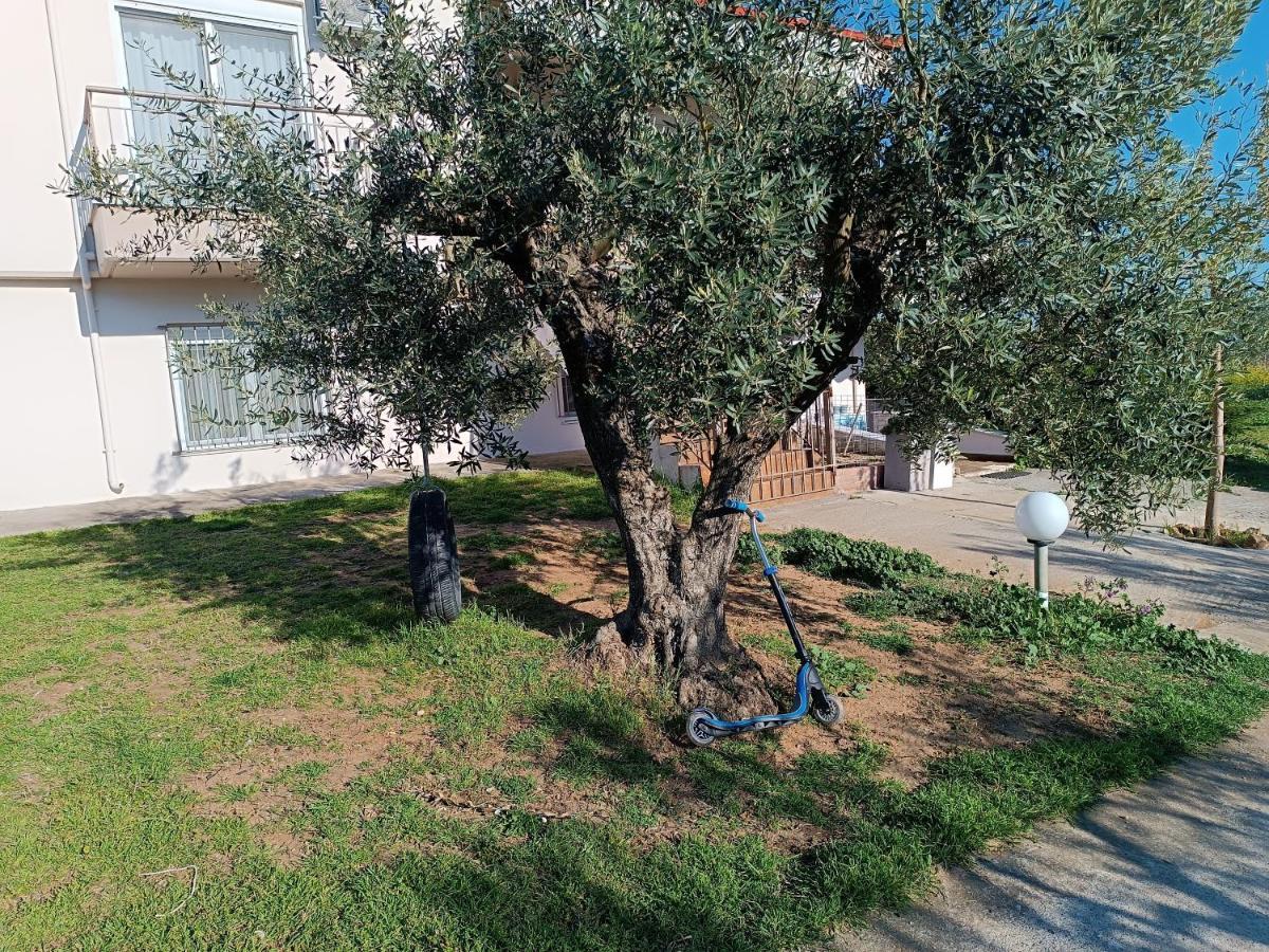 The Secret Olive House Villa Nea Michaniona Buitenkant foto