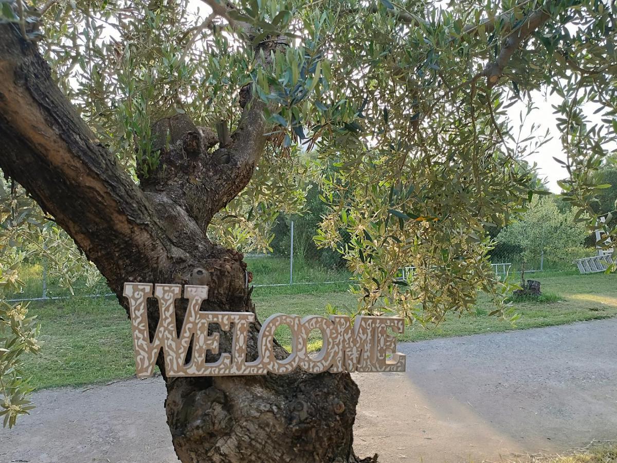 The Secret Olive House Villa Nea Michaniona Buitenkant foto